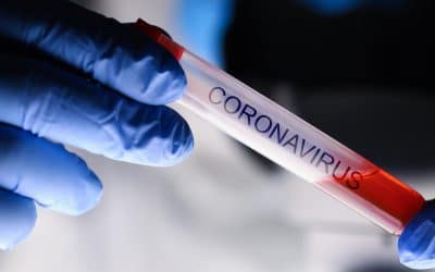Coronavirus: Sportbund Pfalz sagt alle Veranstaltungen bis auf weiteres ab